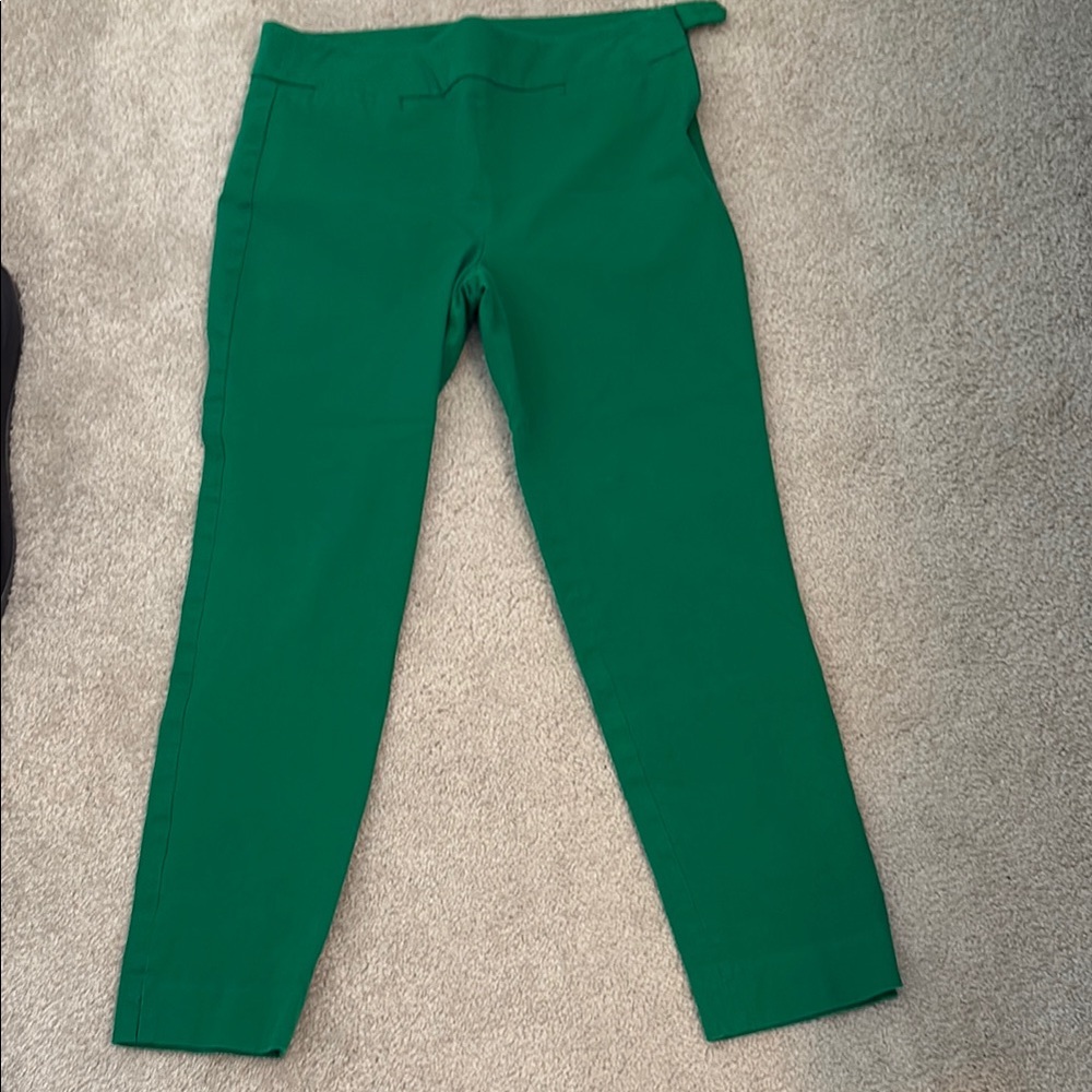 Green Talbots Chatham Ankle Pants